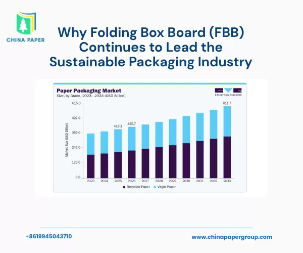 Folding Box Board (FBB) Neden Sürdürülebilir Ambalaj Endüstrisinde Liderliğini Sürdürüyor?