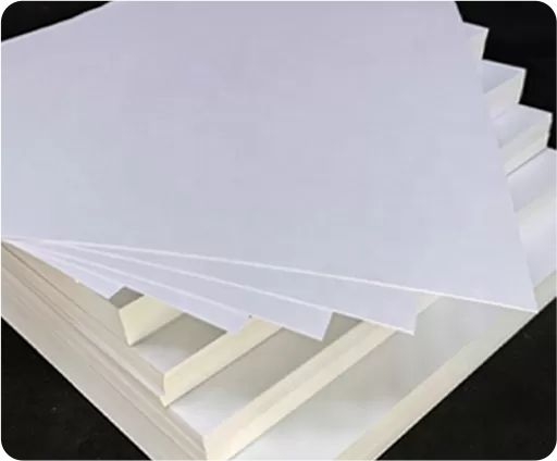 C1S Fildişi Karton/FBB