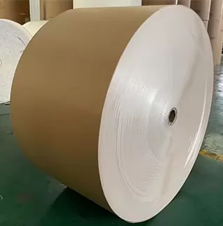 Kraft Sırtlı Kaplı Karton (CKB)