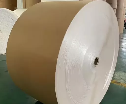 Kraft Sırtlı Kaplı Karton (CKB)