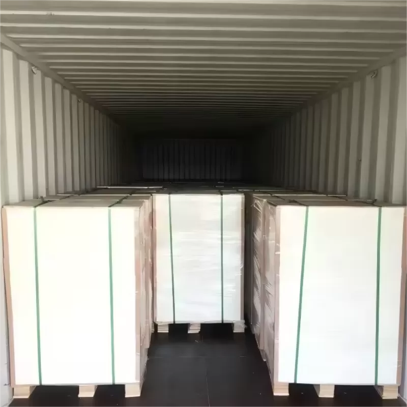 PE Kaplı MG Kağıt